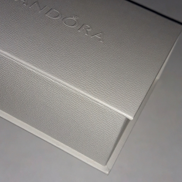 (New) Pandora Cleaning Kit - Picture 7 of 7